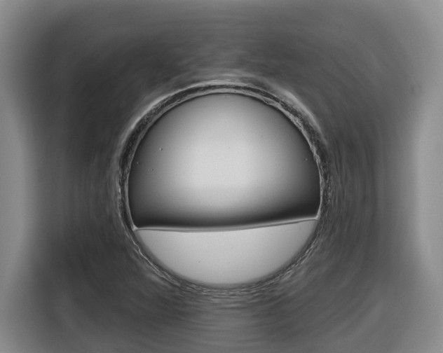X0000116511360200912090939