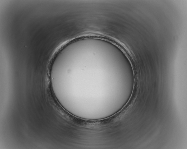 X0000116511363200912090939