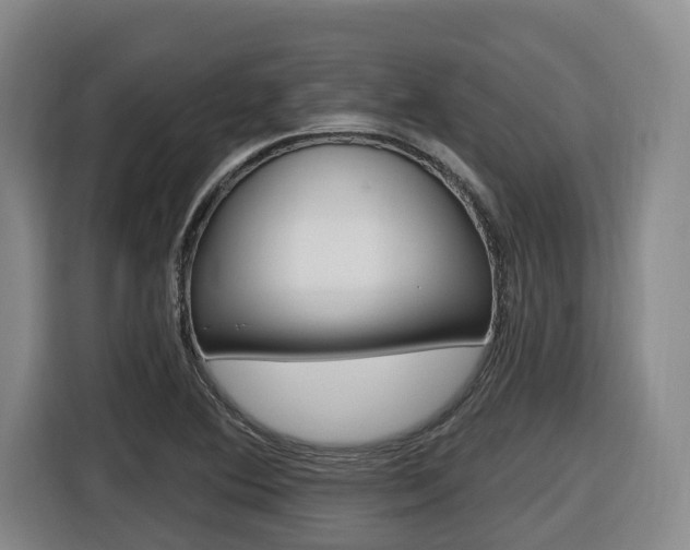 X0000116511364200912090939