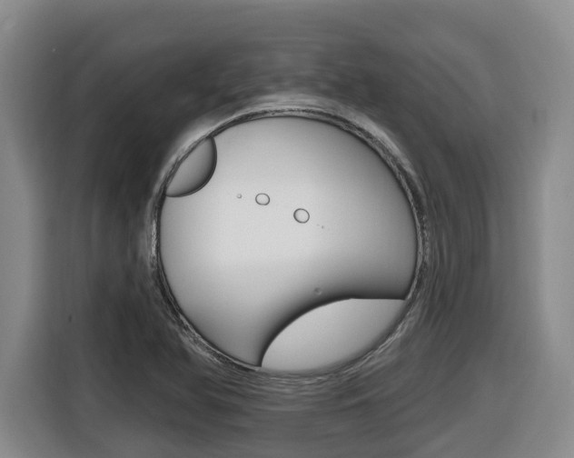 X0000116511366200912090939