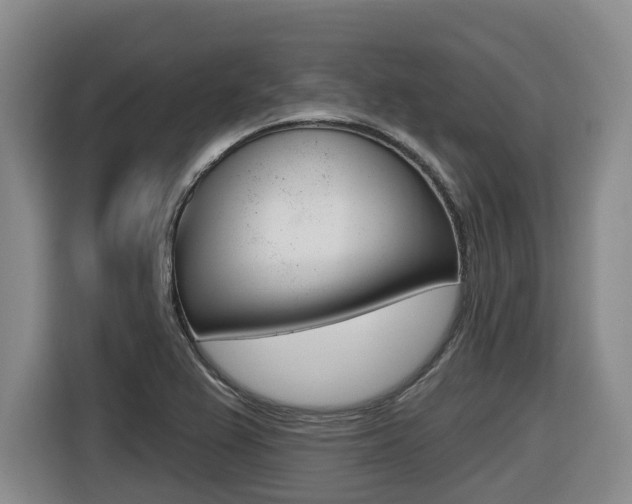 X0000116511367200912090939