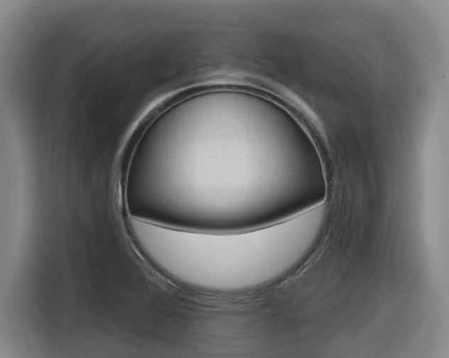 X0000116511368200912090939