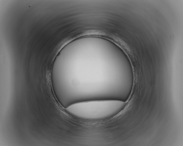 X0000116511369200912090939