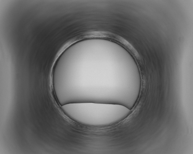X0000116511370200912090939