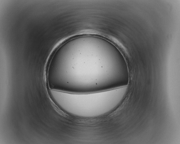 X0000116511372200912090939