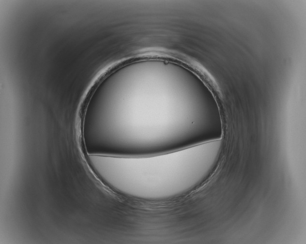 X0000116511376200912090939