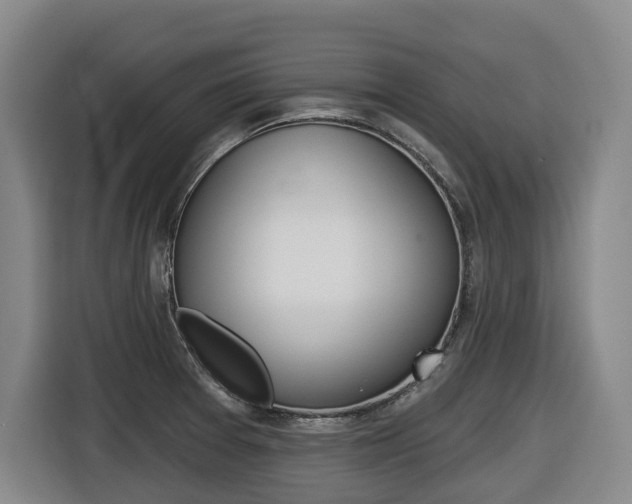 X0000116511377200912090939