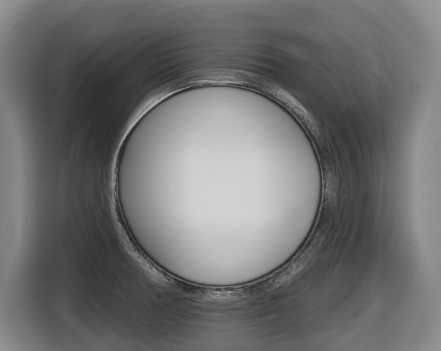 X0000116511378200912090938