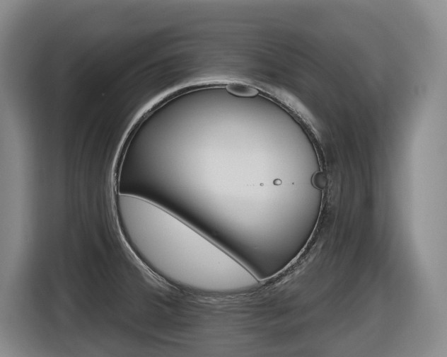 X0000116511380200912090938