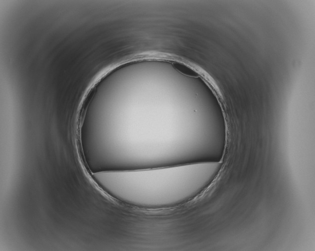X0000116511381200912090938