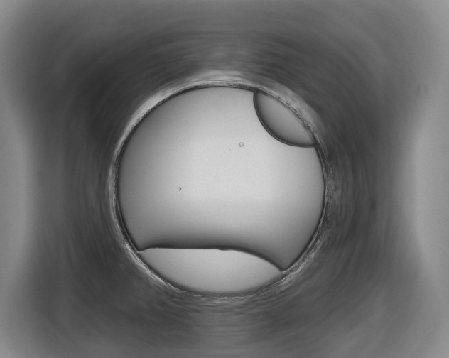 X0000116511382200912090938