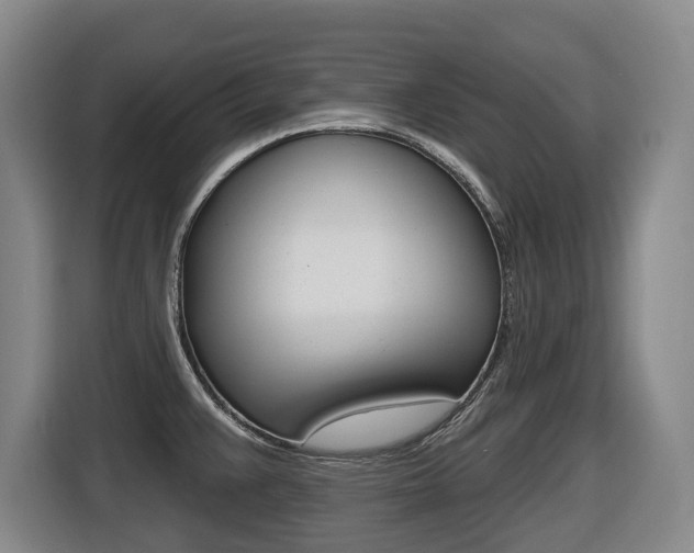 X0000116511383200912090938