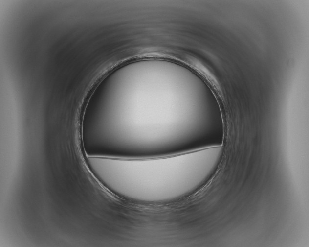 X0000116511384200912090938
