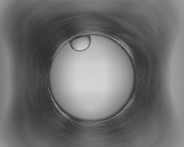 X0000116511385200912090938