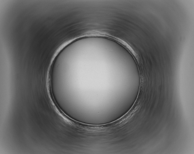 X0000116511387200912090938