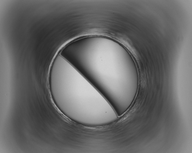 X0000116511388200912090938