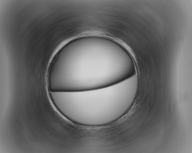X0000116511389200912090938