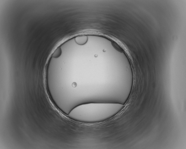 X0000116511390200912090938