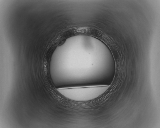 X0000116511394200912090938