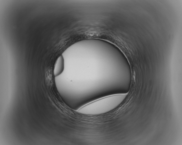 X0000116511396200912090938