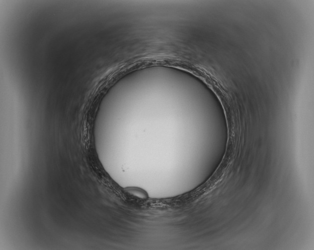 X0000116511398200912090938