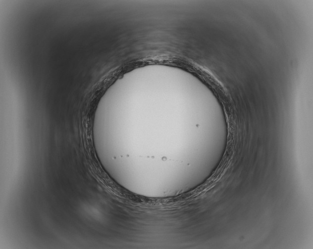 X0000116511399200912090938