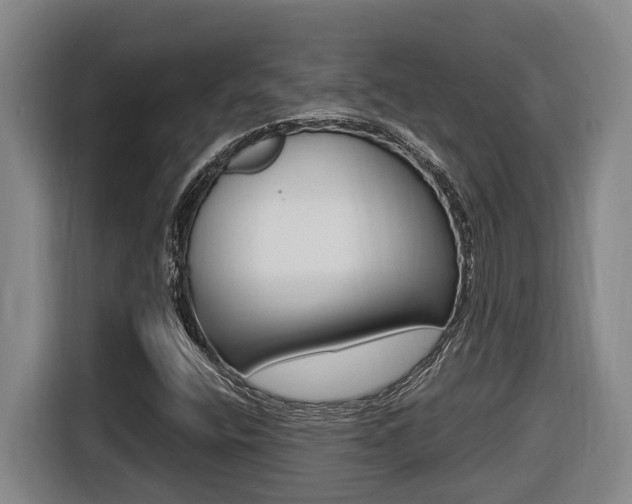 X0000116511400200912090938