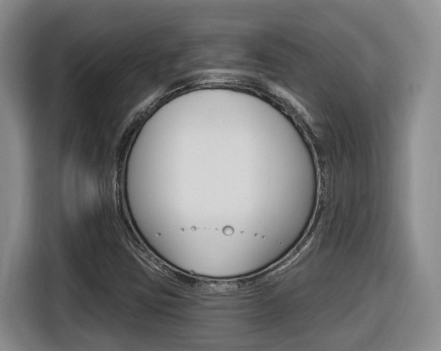 X0000116511403200912090938
