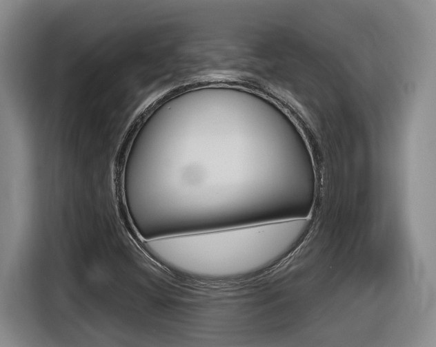 X0000116511404200912090938