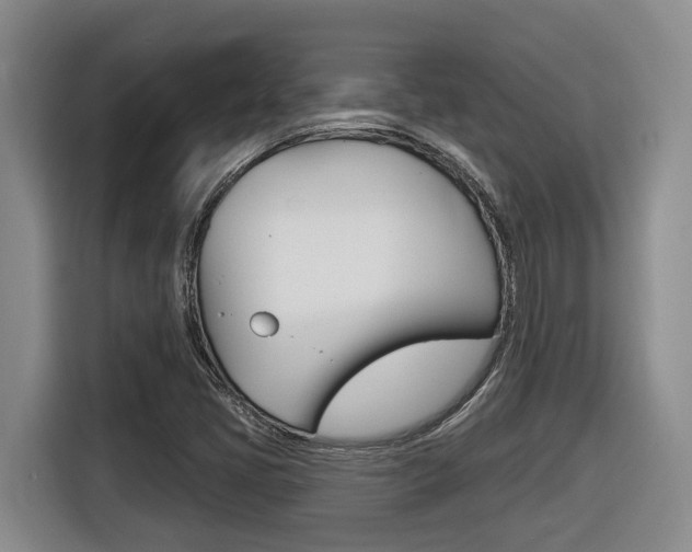 X0000116511405200912090938