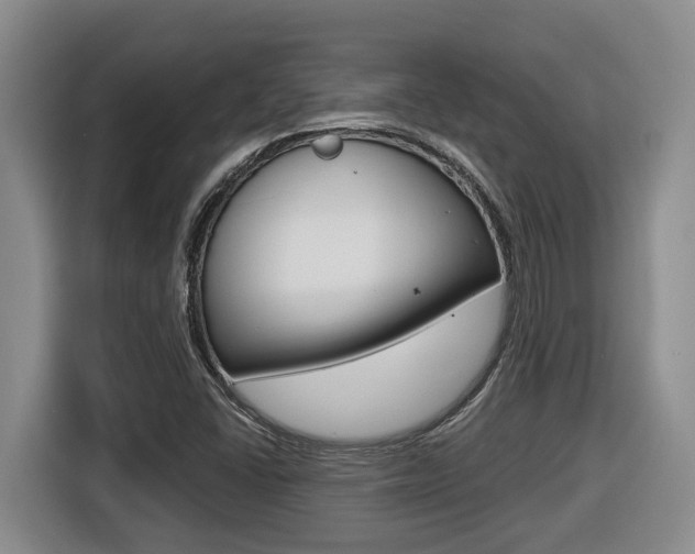 X0000116511406200912090938