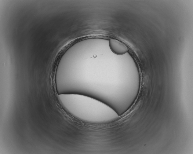 X0000116511407200912090938