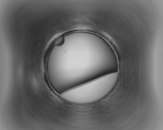 X0000116511408200912090938