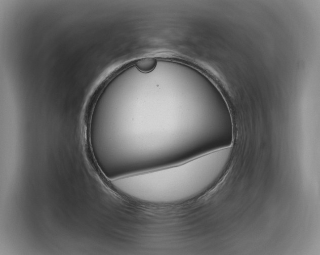 X0000116511414200912090938
