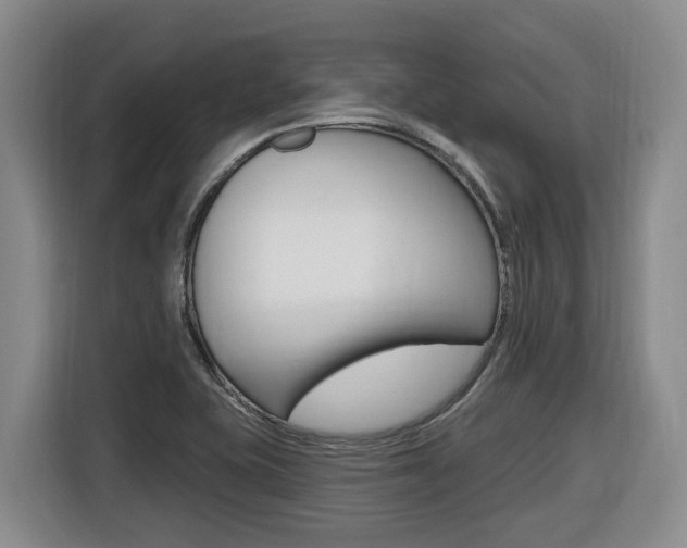 X0000116511415200912090938