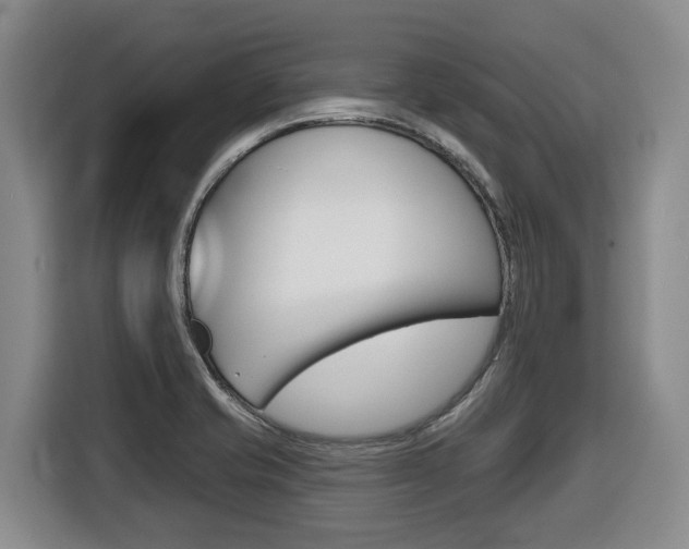 X0000116511421200912090938