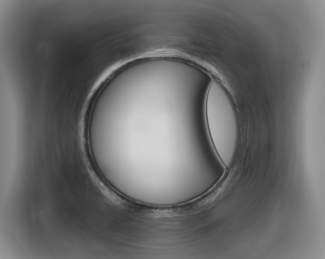 X0000116511422200912090938