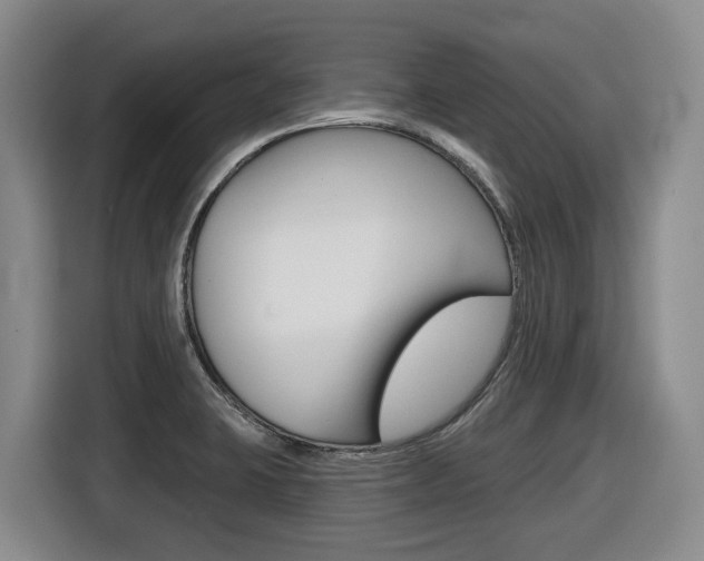 X0000116511423200912090938