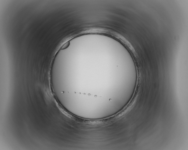 X0000116511425200912090938
