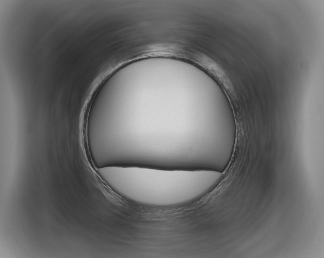 X0000116511427200912090938