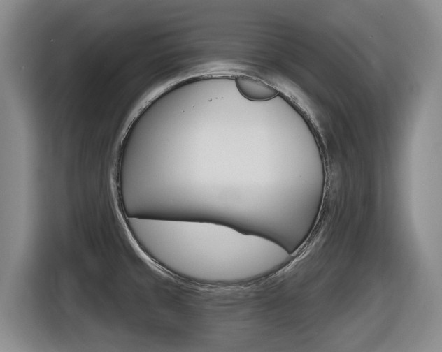 X0000116511429200912090938