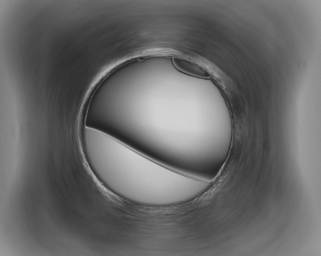 X0000116511430200912090938