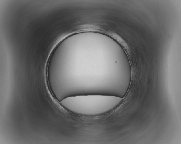 X0000116511431200912090938