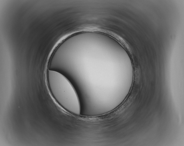 X0000116511432200912090938