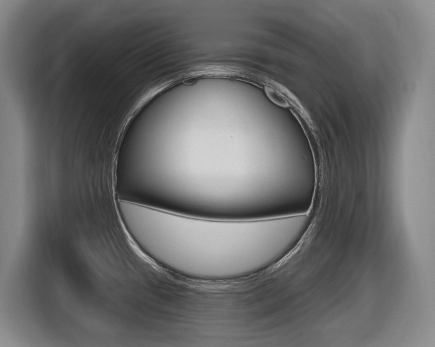 X0000116511433200912090938