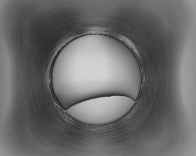 X0000116511435200912090938