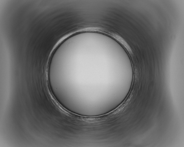 X0000116511436200912090938