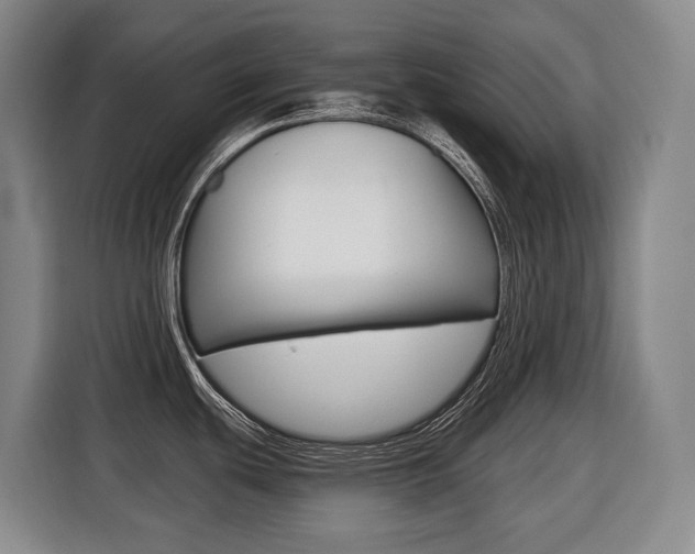 X0000116511439200912090938
