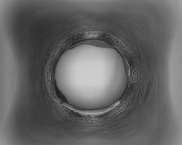 X0000116511441200912090938