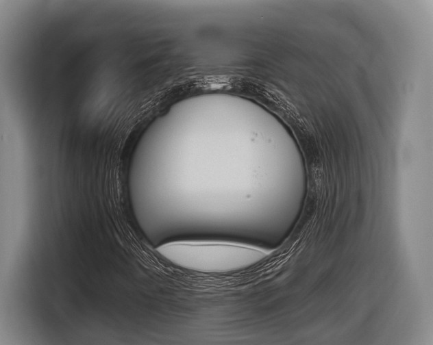 X0000116511442200912090938